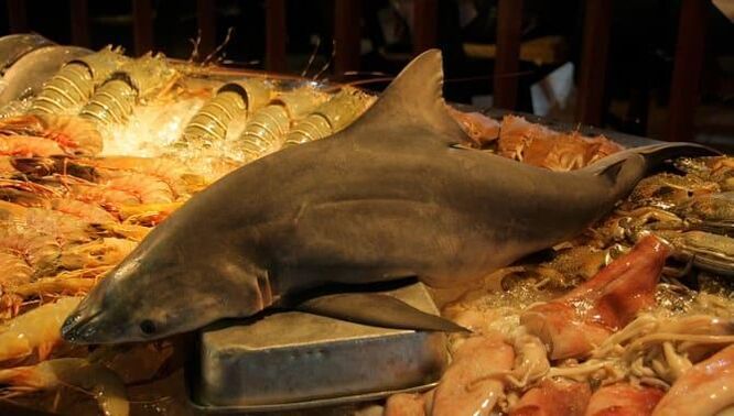 Shark միս `հզորությունը մեծացնելու համար